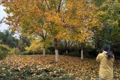 兑换成琳琅满目标日用